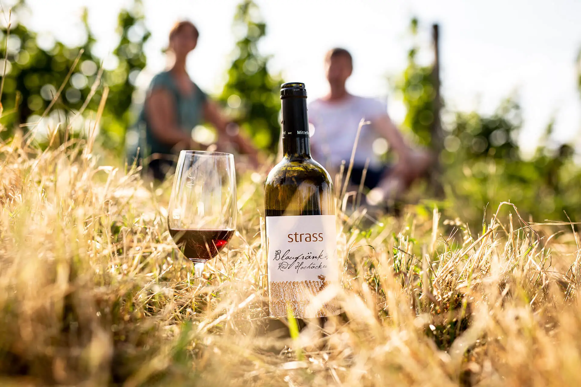 Strass_062_NOF Weingut Strass im Weingarten SOmmer